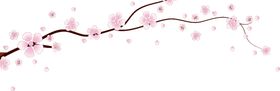 手绘粉色樱花免扣素材图片