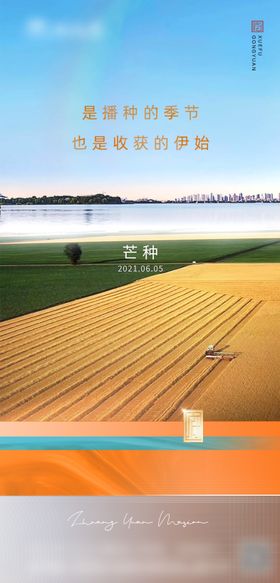 芒种节气海报丰收地产稻谷