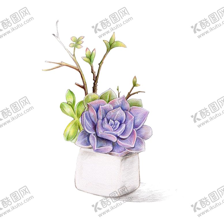 编号：40223101311609025462【酷图网】源文件下载-png格式植物花卉手绘素材