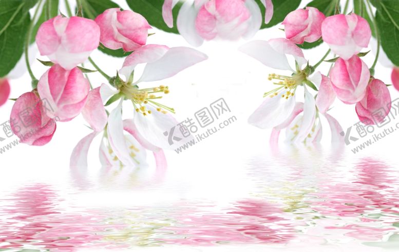 编号：48062805121613139859【酷图网】源文件下载-水影梅花含苞待放