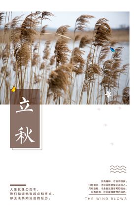 立秋