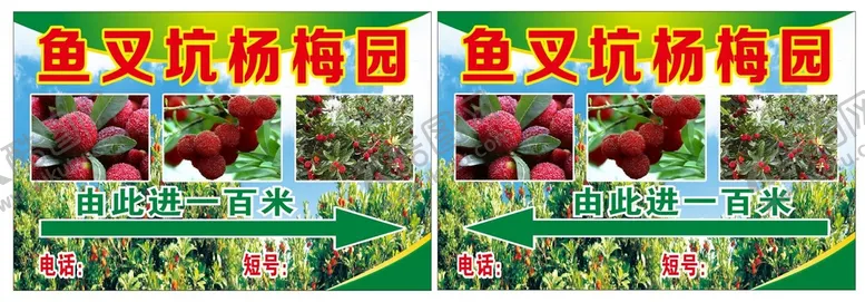 编号：38425310272237286785【酷图网】源文件下载-杨梅园