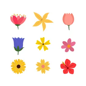 各种花朵手绘鲜植物插图插画