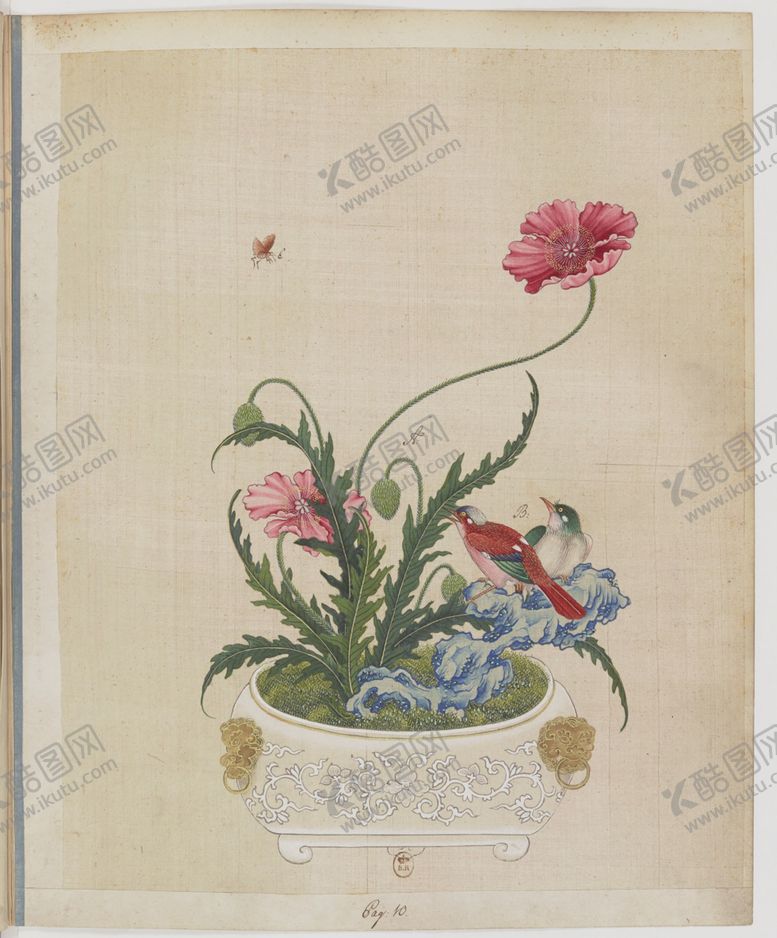 编号：17445303292337208339【酷图网】源文件下载-盆景花鸟