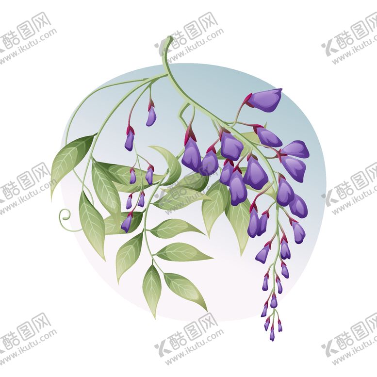 编号：99904611122146412777【酷图网】源文件下载-卡通紫藤花