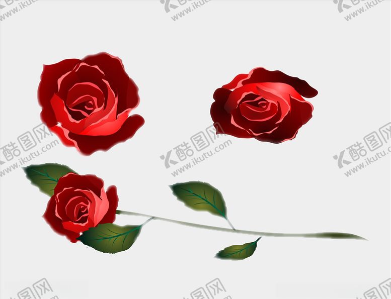 编号：24354210140536365541【酷图网】源文件下载-矢量玫瑰花