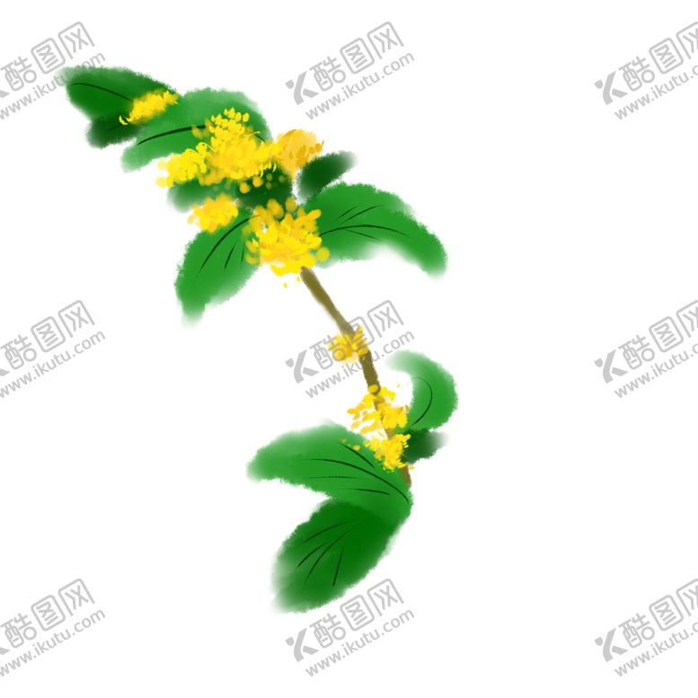 编号：38643301260321536822【酷图网】源文件下载-手绘桂花png免抠素材