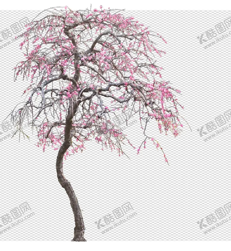编号：73737406270134408763【酷图网】源文件下载-透明底植物
