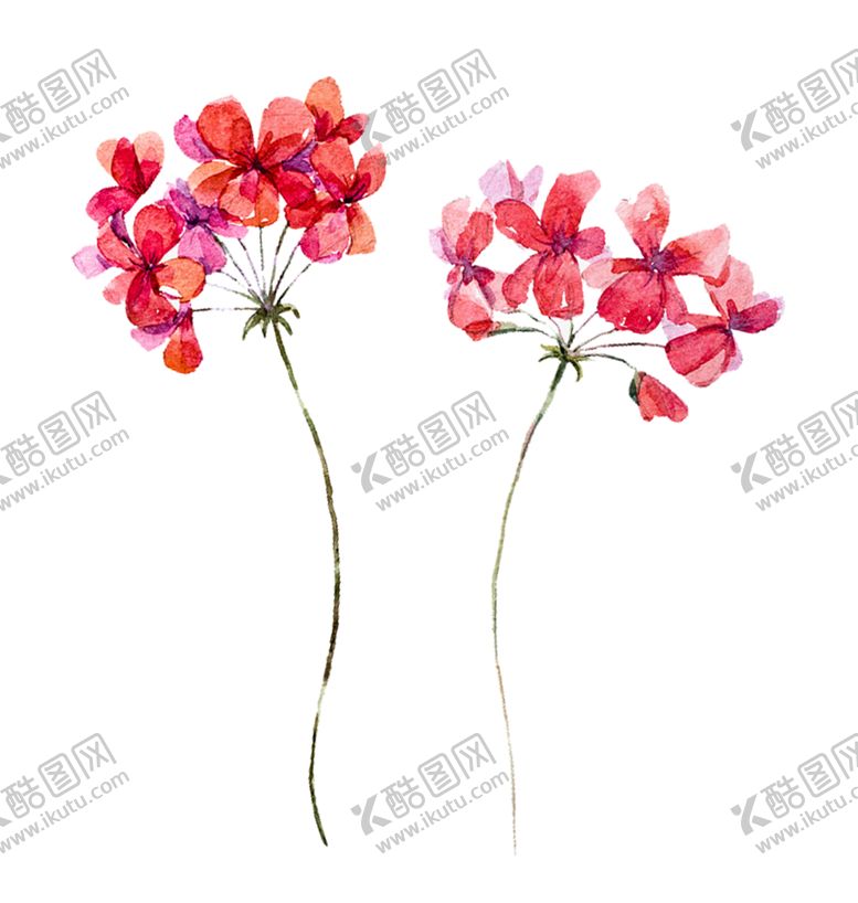 编号：88220309261224234352【酷图网】源文件下载-手绘水墨植物
