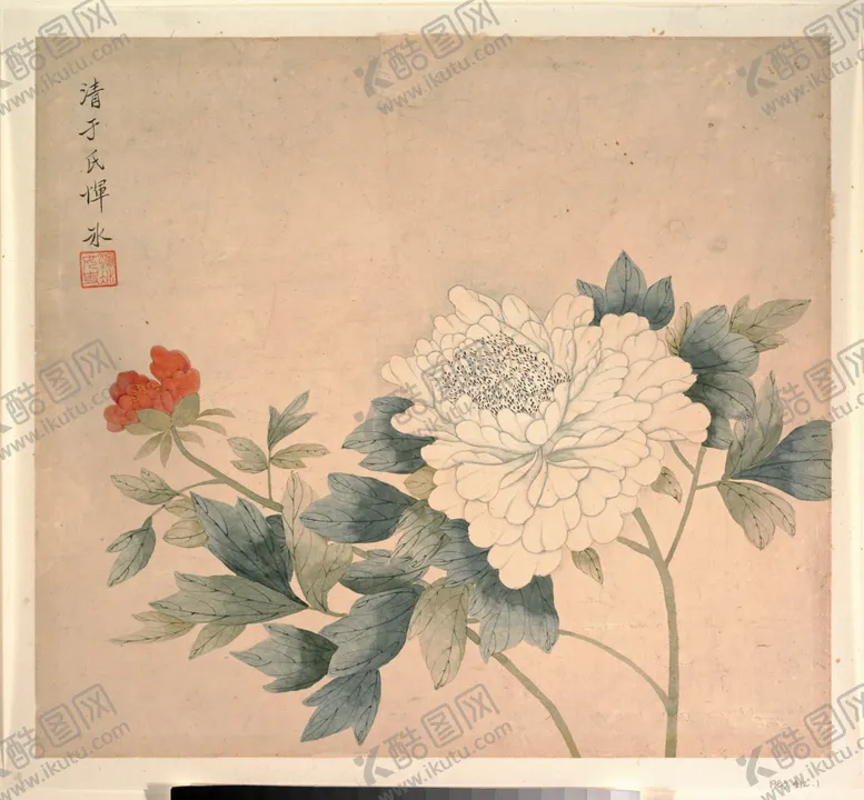 编号：38947106261838403156【酷图网】源文件下载-清代恽寿平花草绘画