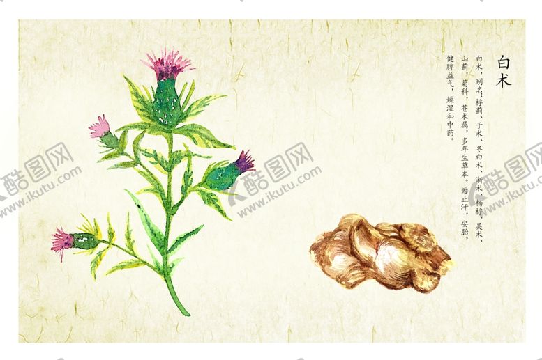 编号：35946009150634318776【酷图网】源文件下载-中药药材传统复古插画卡通背景