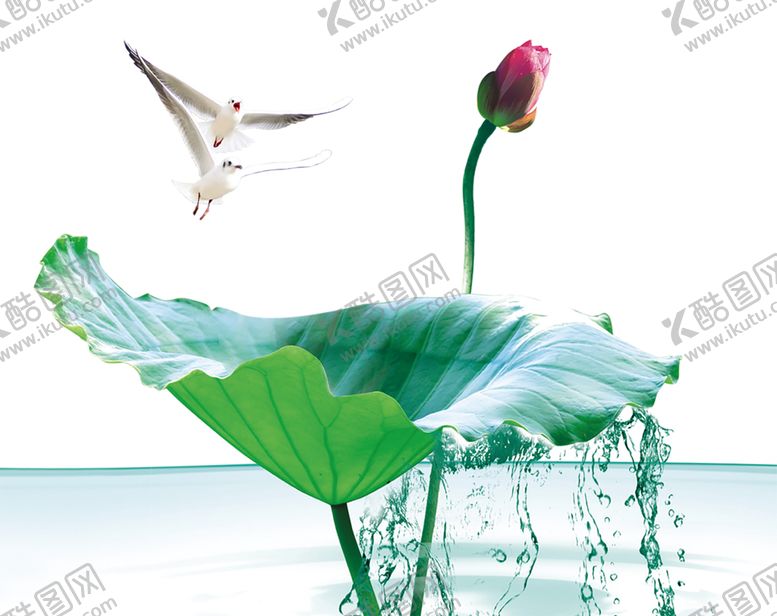 编号：37437909191148157171【酷图网】源文件下载-水花免扣