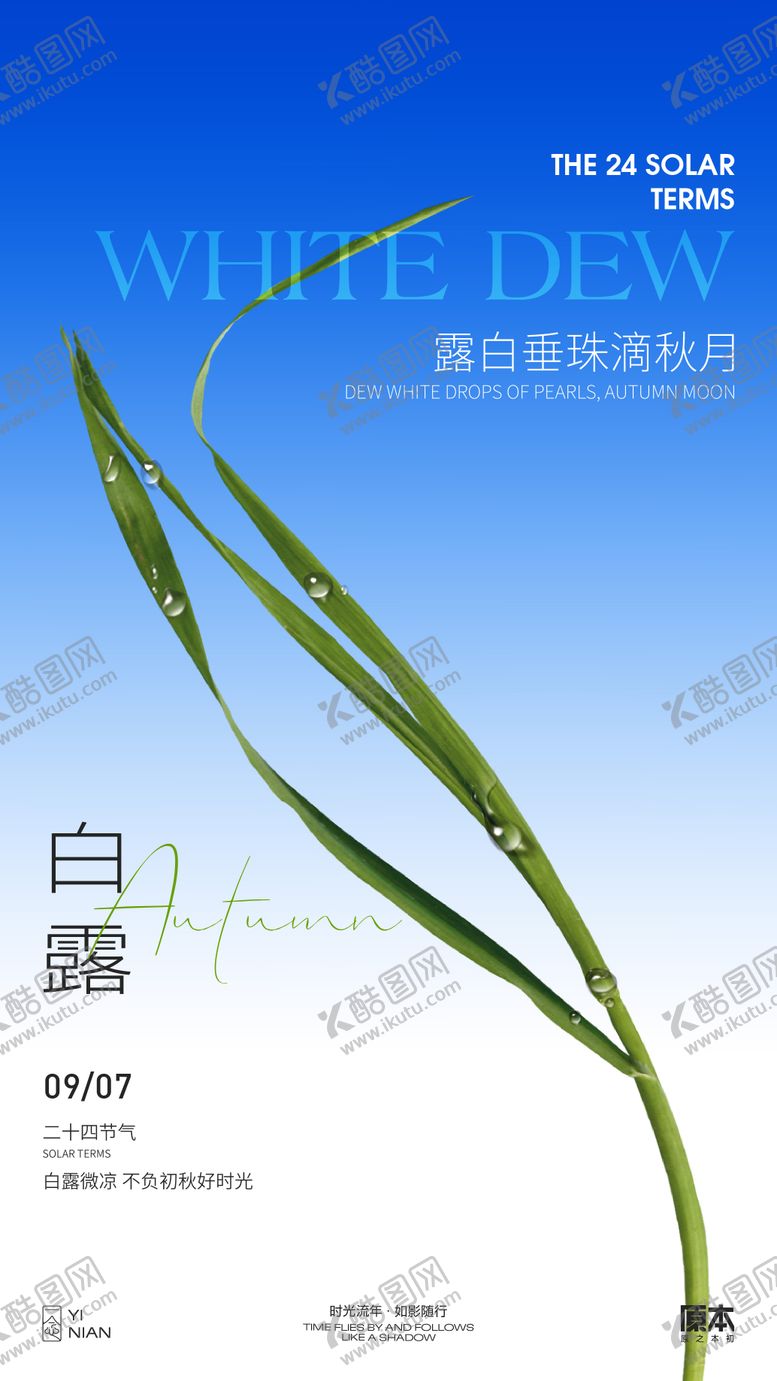 编号：87599909051326224746【酷图网】源文件下载-白露清新海报