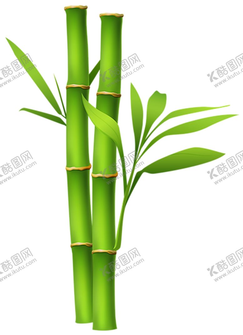 编号：14595210270136169826【酷图网】源文件下载-透明png竹子图片