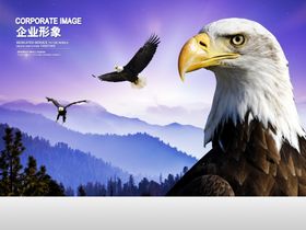 展望未来企业文化展板素材