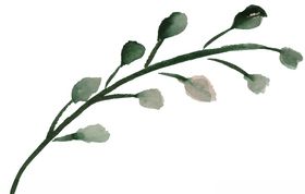 水彩创意花朵植物