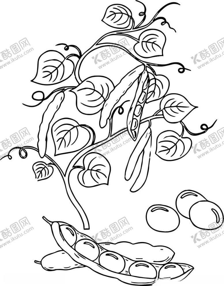 编号：93444404051300405787【酷图网】源文件下载-绿豆线条矢量图