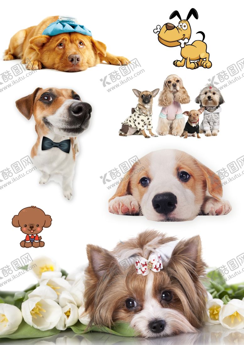 编号：42360710261113422064【酷图网】源文件下载-宠物狗小狗宠物犬卡通狗素材