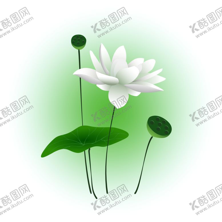 编号：40520304211216366091【酷图网】源文件下载-荷花元素