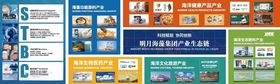企业文化展板设计