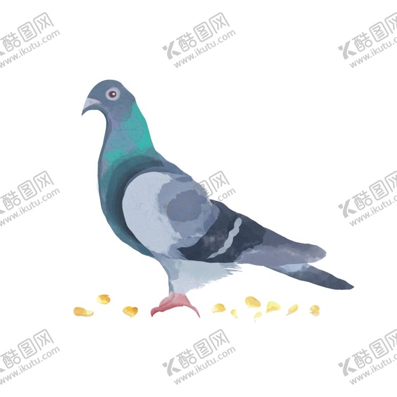 编号：19339705031835524080【酷图网】源文件下载-手绘鸟水彩动物卡通元素