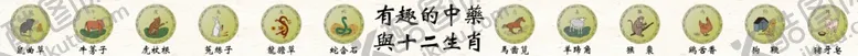 编号：44266409090410467790【酷图网】源文件下载-生肖