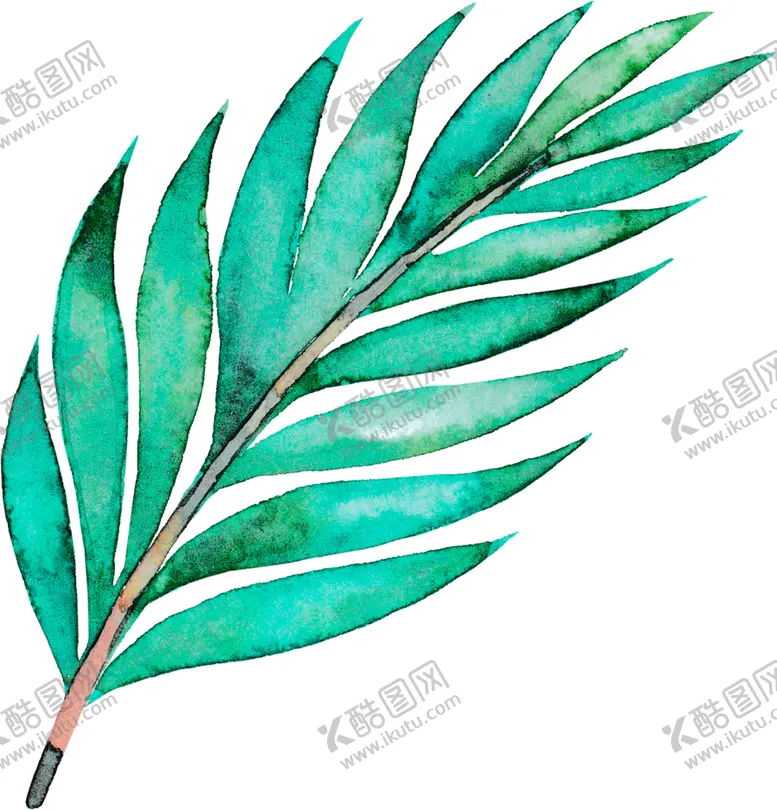 编号：38343706160053236130【酷图网】源文件下载-绿色相框