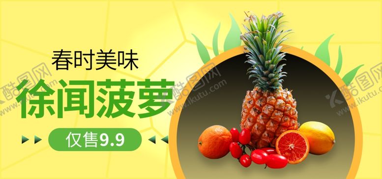 编号：22121609241623046240【酷图网】源文件下载-徐闻菠萝