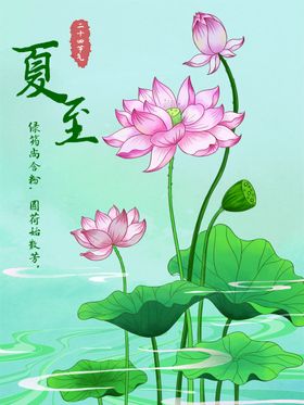 夏至节气海报