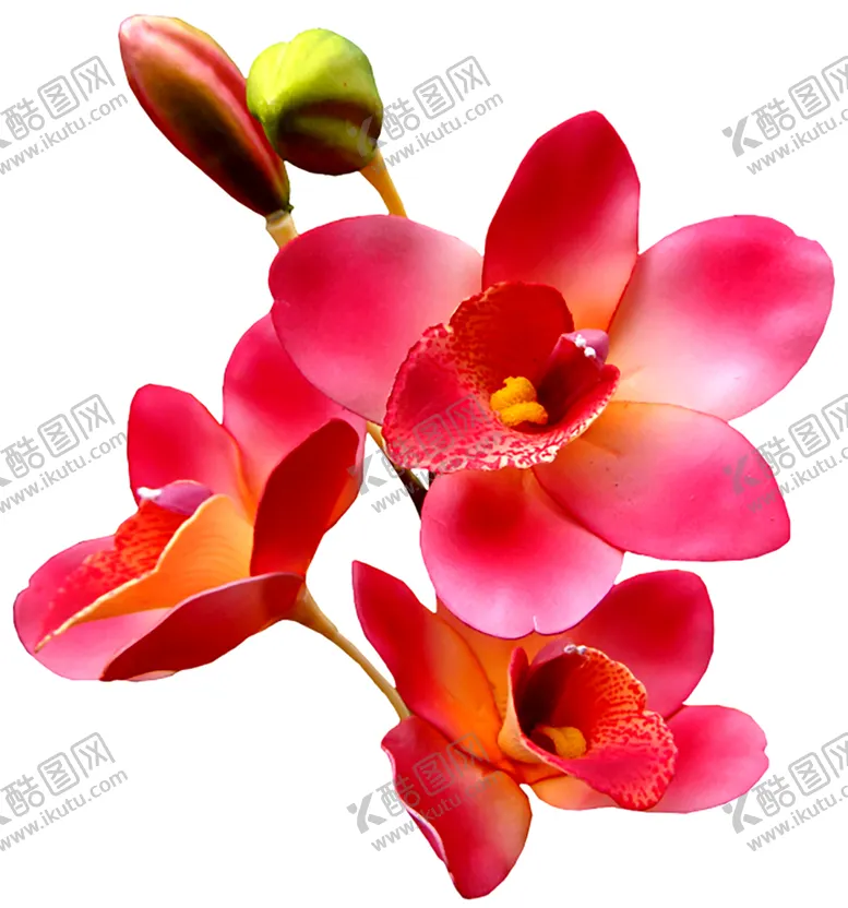 编号：65358506232201063817【酷图网】源文件下载-鲜花素材