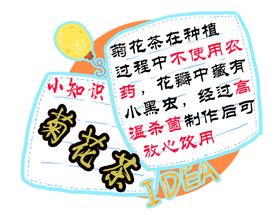 菊花茶小知识