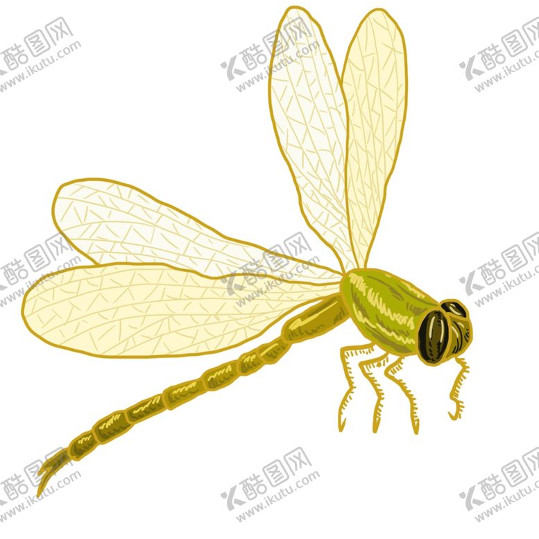 编号：73757004201305025469【酷图网】源文件下载-夏日昆虫黄色蜻蜓插画
