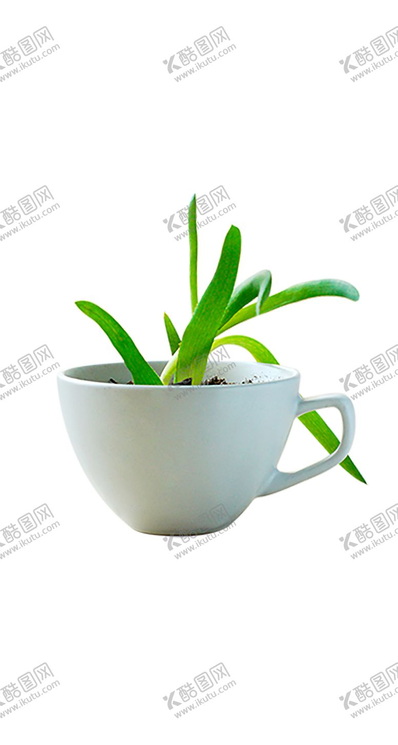 编号：13258707070913059220【酷图网】源文件下载-植物