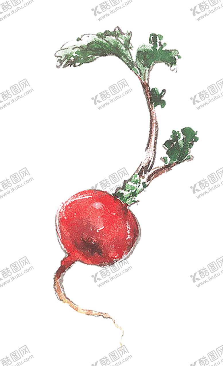 编号：97162807031500321327【酷图网】源文件下载-绿色装饰