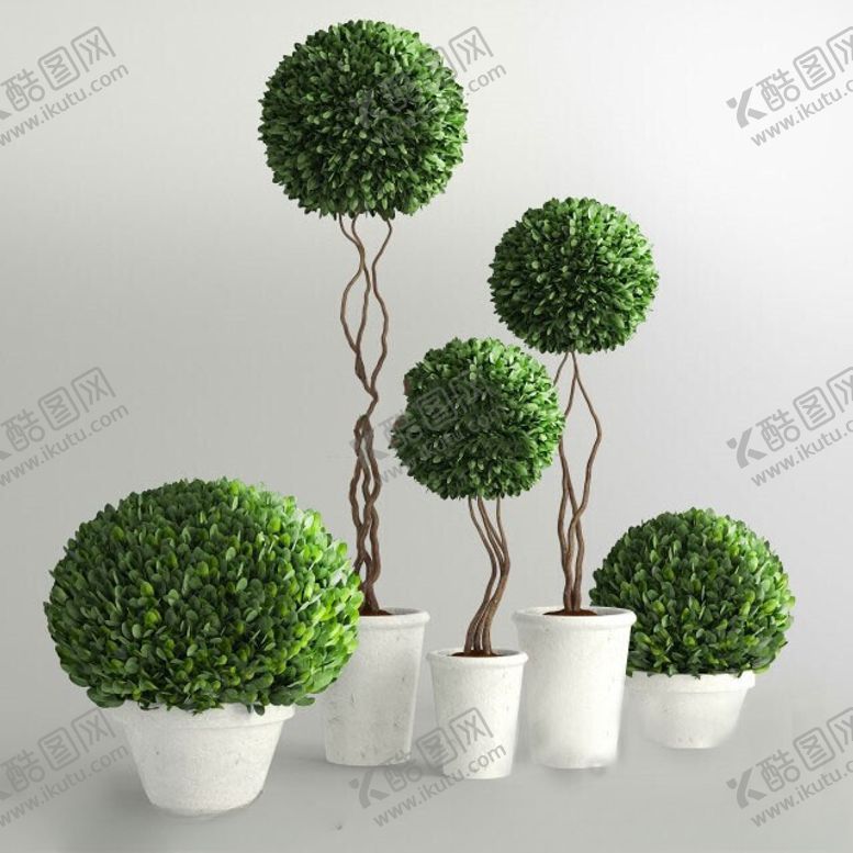 编号：32496502130857526039【酷图网】源文件下载-C4D模型绿色植物