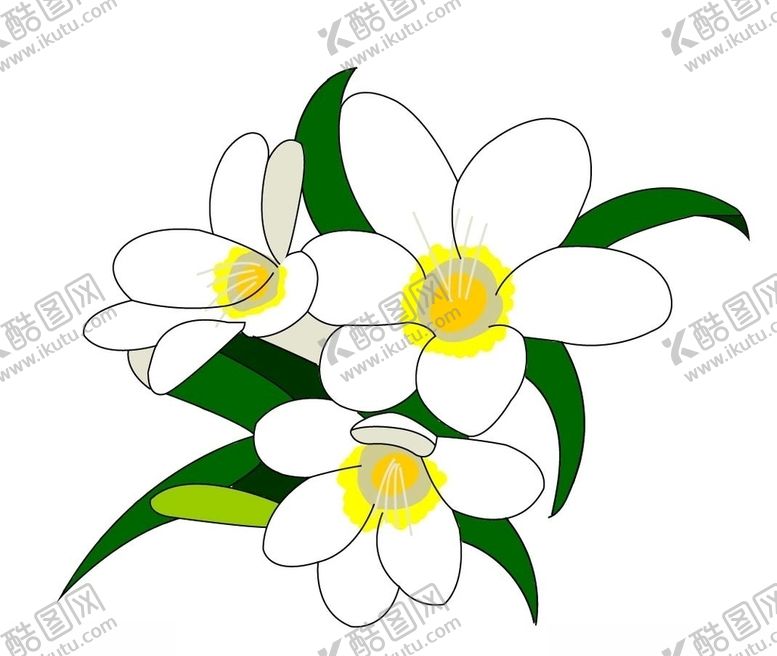 编号：11333610040211373898【酷图网】源文件下载-白色小花