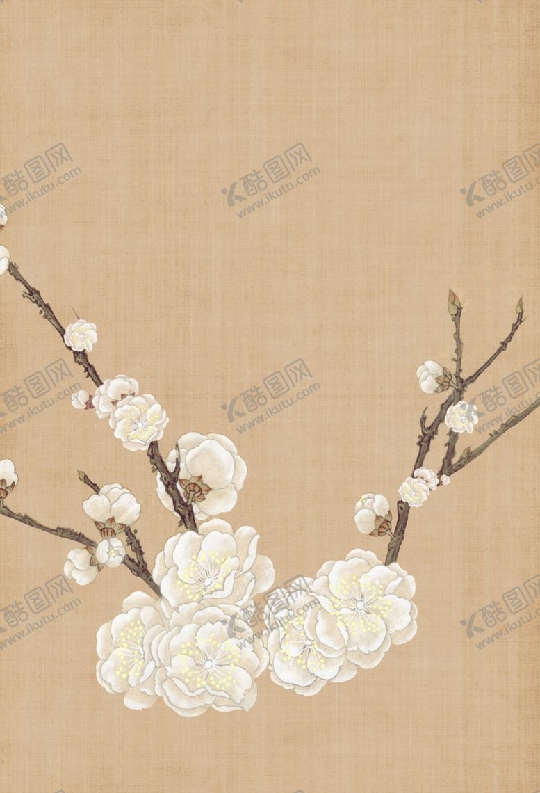 编号：62817309230216092075【酷图网】源文件下载-梅花插画素材
