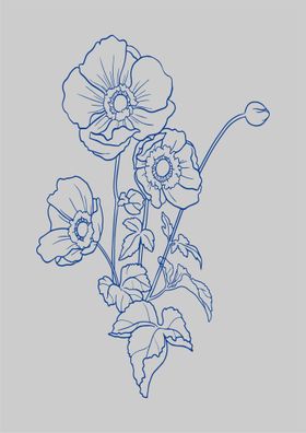 花植物瓣卉朵