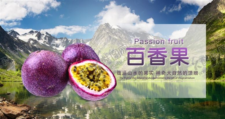 编号：53907807132115348218【酷图网】源文件下载-水果海报