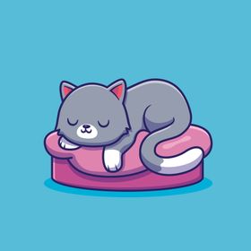猫卡通动物