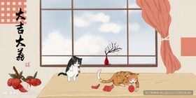 窗边猫咪的惬意小生活