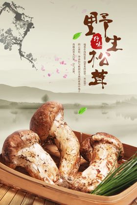 特产海报