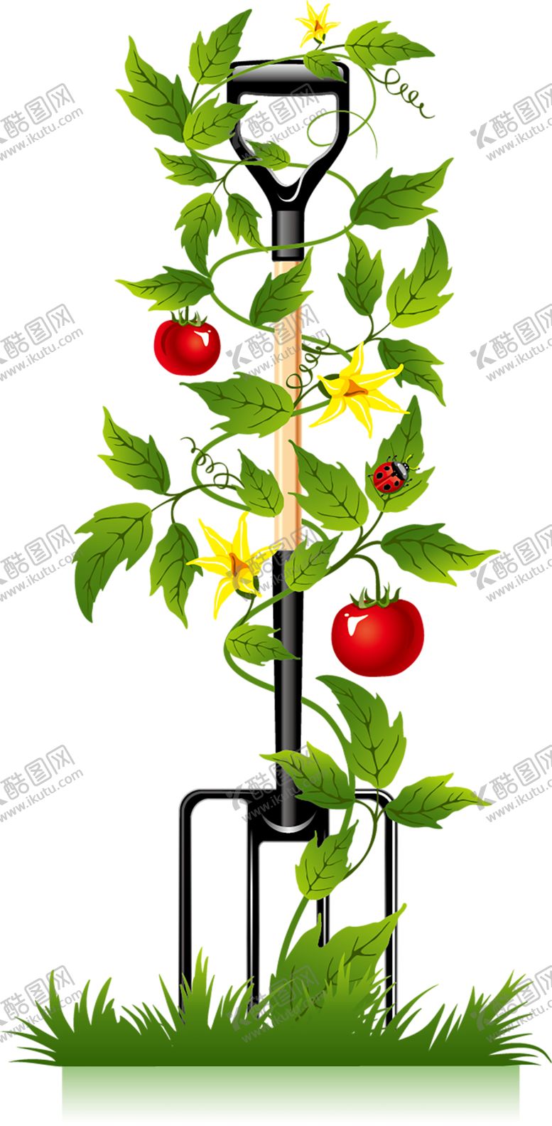 编号：26219309222236051480【酷图网】源文件下载-鲜花素材