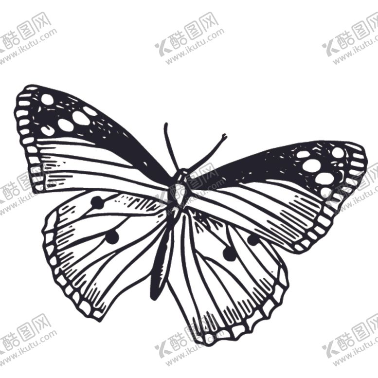 编号：32857609171812338084【酷图网】源文件下载-昆虫绘画图案