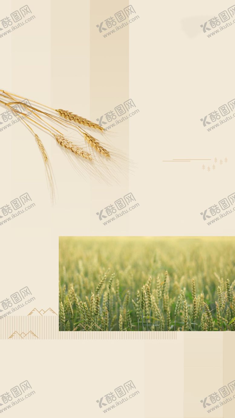 编号：70116806250127149162【酷图网】源文件下载-金色麦子