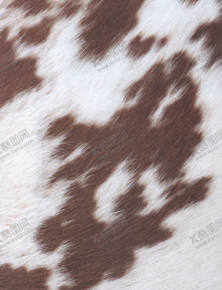 编号：26748310101504315280【酷图网】源文件下载-动物皮毛背景素材JPG格式