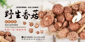 编号：02958309301038422586【酷图网】源文件下载-野生香菇