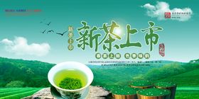 清新绿色春茶上市新茶海报