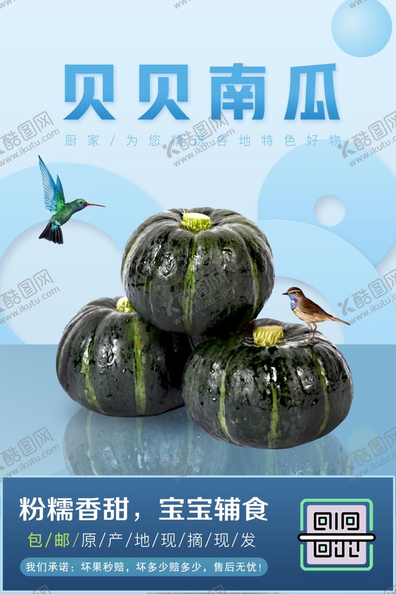 编号：95120909261021156144【酷图网】源文件下载-生鲜南瓜大促海报