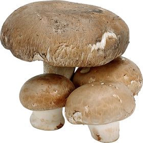 蓝莓水果食物果实好吃的